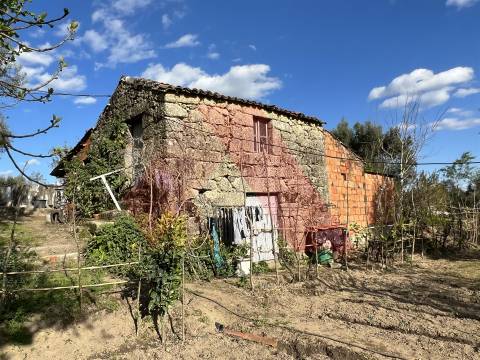 Terreno Rústico T0 Venda em Póvoa de Midões,Tábua