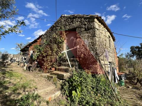 Terreno Rústico T0 Venda em Póvoa de Midões,Tábua