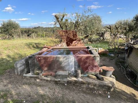 Terreno Rústico T0 Venda em Póvoa de Midões,Tábua