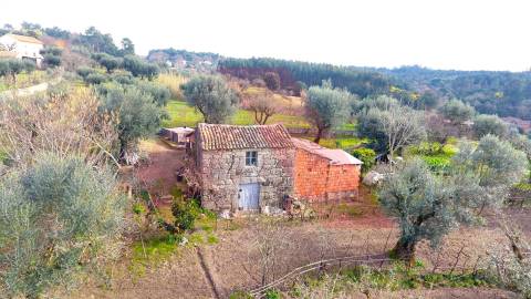 Terreno Rústico T0 Venda em Póvoa de Midões,Tábua