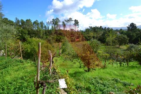 Moradia para Restaurar T2 Venda em Mouronho,Tábua