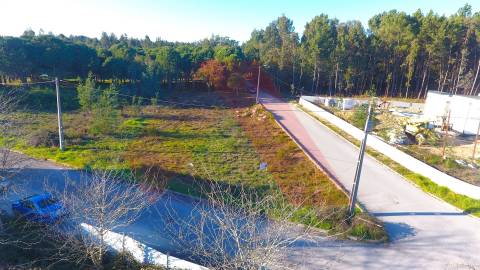 Lote de Terreno  Venda em Tábua,Tábua