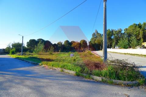 Lote de Terreno  Venda em Tábua,Tábua