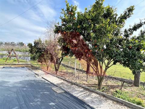 Outro Tipo  Venda em Espariz e Sinde,Tábua