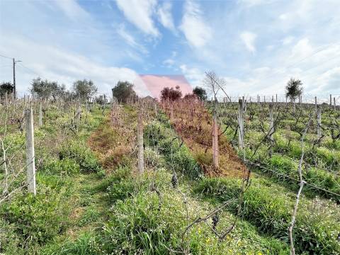 Outro Tipo  Venda em Espariz e Sinde,Tábua