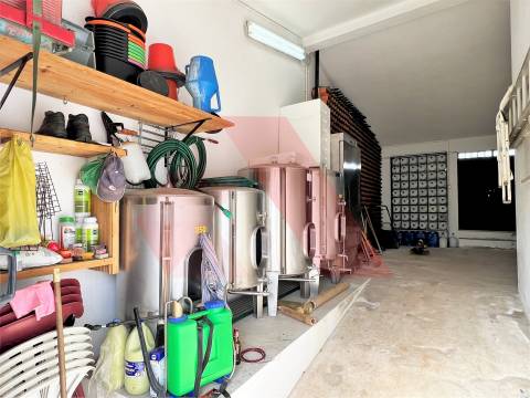 Outro Tipo  Venda em Espariz e Sinde,Tábua