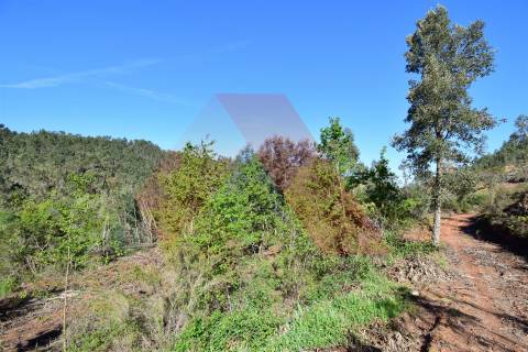 Terreno Rústico  Venda em Mouronho,Tábua