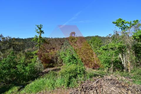 Terreno Rústico  Venda em Mouronho,Tábua