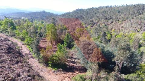 Terreno Rústico  Venda em Mouronho,Tábua