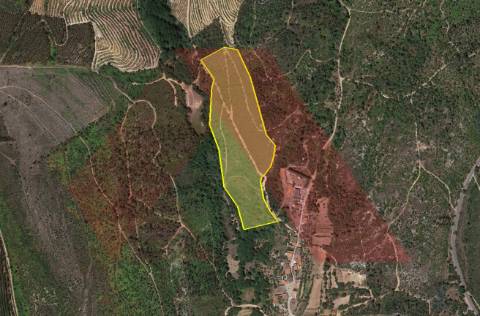 Terreno Rústico  Venda em Mouronho,Tábua