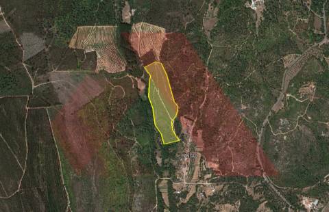 Terreno Rústico  Venda em Mouronho,Tábua