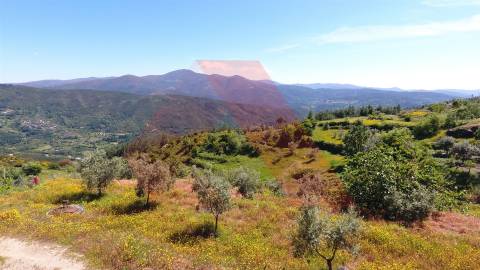 Terreno  Venda em Oliveira do Hospital e São Paio de Gramaços,Oliveira do Hospital