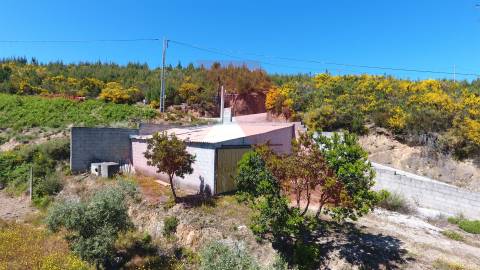 Terreno  Venda em Oliveira do Hospital e São Paio de Gramaços,Oliveira do Hospital