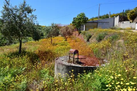 Terreno  Venda em Oliveira do Hospital e São Paio de Gramaços,Oliveira do Hospital