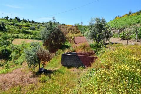 Terreno  Venda em Oliveira do Hospital e São Paio de Gramaços,Oliveira do Hospital