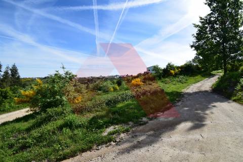 Terreno Rústico  Venda em Bobadela,Oliveira do Hospital