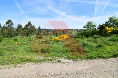 Terreno Rústico  Venda em Bobadela,Oliveira do Hospital