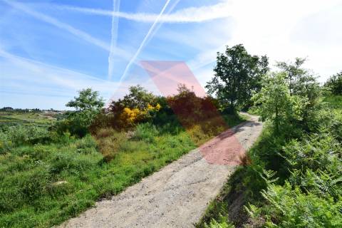 Terreno Rústico  Venda em Bobadela,Oliveira do Hospital