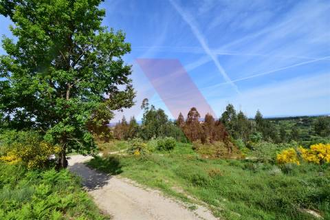 Terreno Rústico  Venda em Bobadela,Oliveira do Hospital