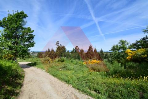 Terreno Rústico  Venda em Bobadela,Oliveira do Hospital