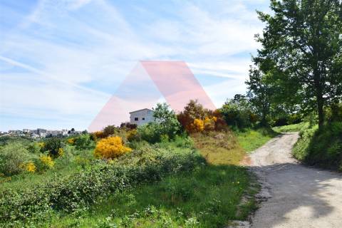 Terreno Rústico  Venda em Bobadela,Oliveira do Hospital