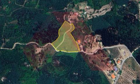 Terreno Rústico  Venda em Bobadela,Oliveira do Hospital