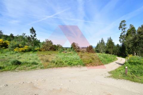 Terreno  Venda em Bobadela,Oliveira do Hospital