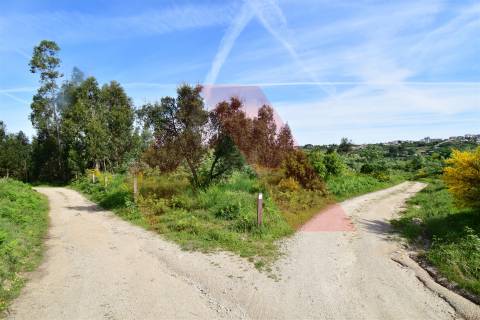 Terreno  Venda em Bobadela,Oliveira do Hospital