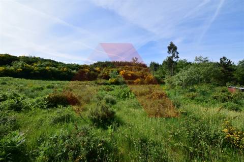 Terreno  Venda em Bobadela,Oliveira do Hospital