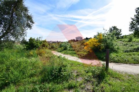 Terreno  Venda em Bobadela,Oliveira do Hospital