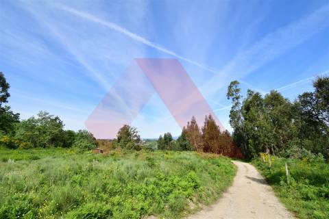 Terreno  Venda em Bobadela,Oliveira do Hospital