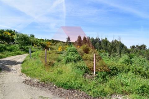 Terreno  Venda em Bobadela,Oliveira do Hospital