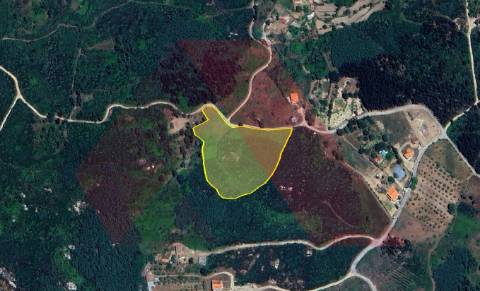 Terreno  Venda em Bobadela,Oliveira do Hospital