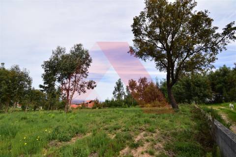Lote de Terreno  Venda em Lagos da Beira e Lajeosa,Oliveira do Hospital