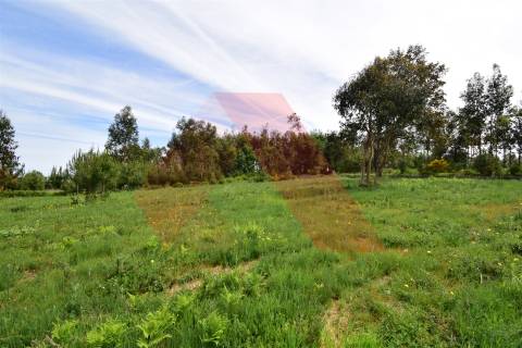 Lote de Terreno  Venda em Lagos da Beira e Lajeosa,Oliveira do Hospital
