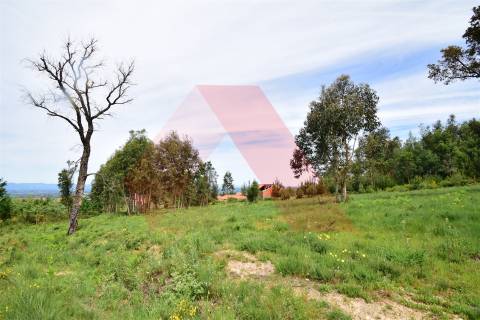 Lote de Terreno  Venda em Lagos da Beira e Lajeosa,Oliveira do Hospital