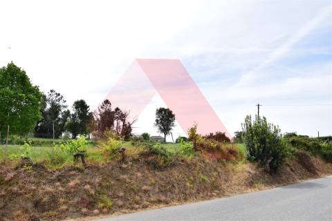 Lote de Terreno  Venda em Lagos da Beira e Lajeosa,Oliveira do Hospital