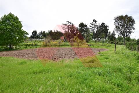 Lote de Terreno  Venda em Lagos da Beira e Lajeosa,Oliveira do Hospital