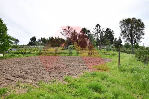 Lote de Terreno  Venda em Lagos da Beira e Lajeosa,Oliveira do Hospital