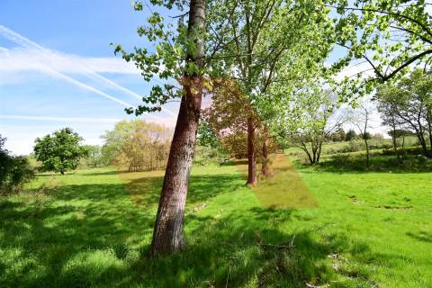 Quinta  Venda em Lagos da Beira e Lajeosa,Oliveira do Hospital