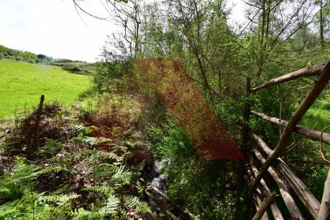 Quinta  Venda em Lagos da Beira e Lajeosa,Oliveira do Hospital