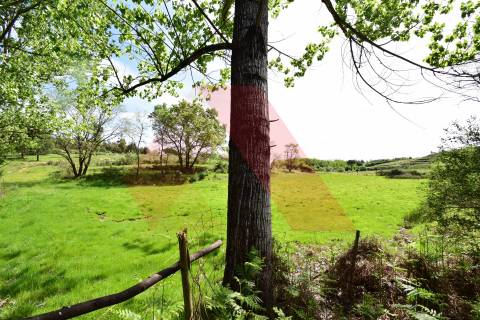 Quinta  Venda em Lagos da Beira e Lajeosa,Oliveira do Hospital