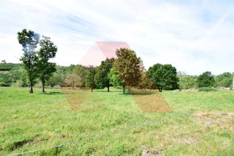 Quinta  Venda em Lagos da Beira e Lajeosa,Oliveira do Hospital