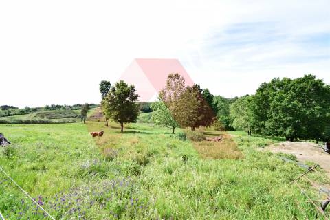 Quinta  Venda em Lagos da Beira e Lajeosa,Oliveira do Hospital