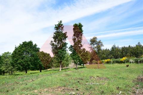 Quinta  Venda em Lagos da Beira e Lajeosa,Oliveira do Hospital