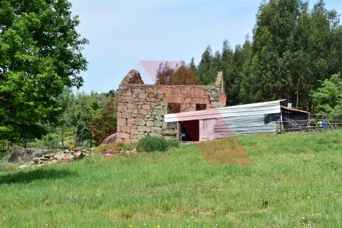 Quinta  Venda em Lagos da Beira e Lajeosa,Oliveira do Hospital