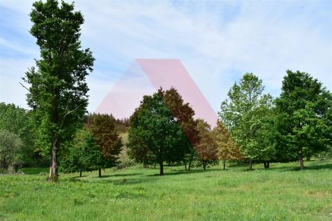 Quinta  Venda em Lagos da Beira e Lajeosa,Oliveira do Hospital