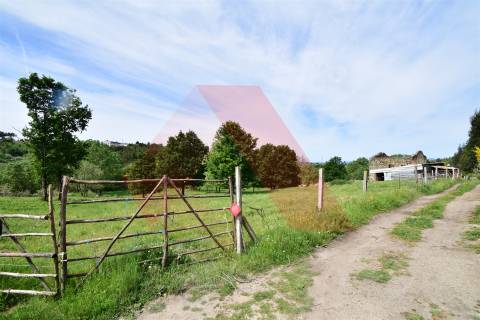 Quinta  Venda em Lagos da Beira e Lajeosa,Oliveira do Hospital