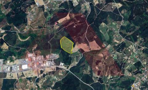 Quinta  Venda em Lagos da Beira e Lajeosa,Oliveira do Hospital