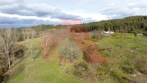 Quinta  Venda em Lagos da Beira e Lajeosa,Oliveira do Hospital